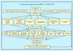 Структура и органы управления